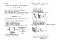 山东省济南市高新区2023-2024学年七年级下学期期末考试生物试题