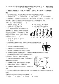 2023-2024学年河南省南阳市新野县七年级（下）期中生物试卷