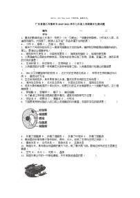 [生物]广东省湛江市雷州市2023-2024学年七年级上学期期末试题