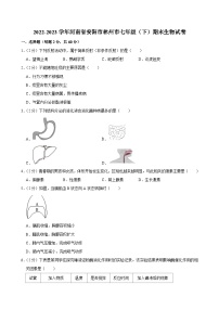 2022-2023学年河南省安阳市林州市七年级（下）期末生物试卷