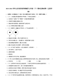 2023-2024学年山东省济南市钢城区七年级（下）期末生物试卷（五四学制）