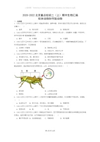 [生物]2020～2022北京重点校初二上学期期中生物试题分类汇编：软体动物和节肢动物