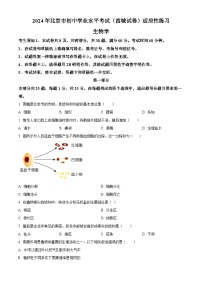 2024年北京市西城区中考生物模拟试卷