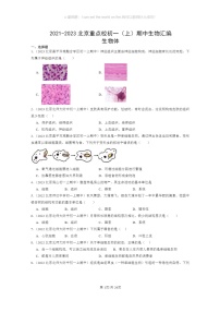 [生物]2021～2023北京重点校初一上学期期中生物试题分类汇编：生物体