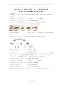 [生物]2020～2022北京重点校初二上学期期中生物试题分类汇编：根据生物的特征进行分类章节综合