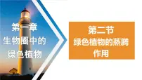 济南版七年级上册第二节 绿色植物的蒸腾作用教学ppt课件