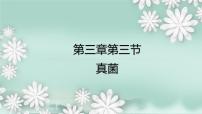 初中生物济南版七年级上册第二单元 多彩的生物世界第三章 生物圈中的微生物第三节 真菌课文配套ppt课件