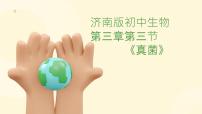 济南版七年级上册第三节 真菌课文内容课件ppt