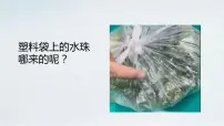 济南版七年级上册第二节 绿色植物的蒸腾作用集体备课课件ppt