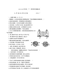 辽宁省阜新市实验中学2023-2024学年七年级下学期7月期末生物试题