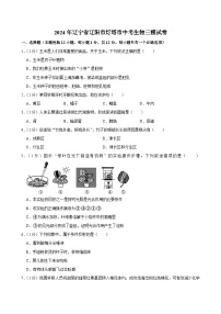 2024年辽宁省辽阳市灯塔市中考生物三模试卷