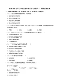辽宁省大连市中山区2023-2024学年七年级下学期期末生物试卷