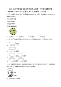 辽宁省沈阳市于洪区2022-2023学年八年级下学期期末生物试卷