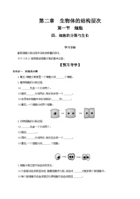 冀少版七年级上册四.细胞的分裂与生长优秀导学案