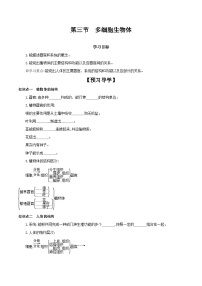 生物第三节 多细胞生物体精品导学案