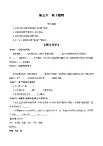 初中生物冀少版七年级上册第五节 裸子植物优质导学案