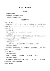 冀少版七年级上册第六节 被子植物精品学案设计