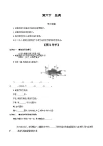 初中生物冀少版七年级上册第六节 鱼类精品学案