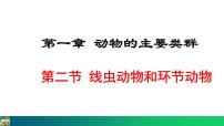 人教版 (新课标)八年级上册第二节 线形动物和环节动物课堂教学课件ppt