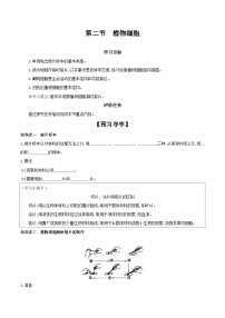 人教版 (新课标)七年级上册第二节 植物细胞优质学案