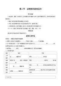 人教版 (新课标)七年级上册第二节 动物体的结构层次精品学案设计