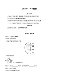 生物人教版 (新课标)第三单元 生物圈中的绿色植物第一章 生物圈中有哪些绿色植物第二节 种子植物精品学案