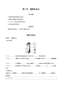 初中生物人教版 (新课标)七年级上册第二节 植株的生长优质学案