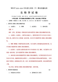 +辽宁省锦州市2023--2024学年七年级下学期生物期末测试卷