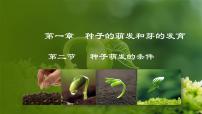 初中生物冀少版八年级上册第二节  种子萌发的条件教学演示课件ppt