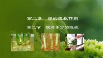 初中生物冀少版八年级上册第二节  根对水分的吸收课文内容ppt课件