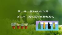 初中生物冀少版八年级上册第三节  无机盐与植物的生长授课课件ppt