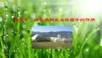 冀少版八年级上册第五章 绿色植物在生物圈中的作用课文配套ppt课件