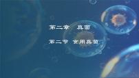 初中生物冀少版八年级上册第二节 食用真菌教学演示课件ppt