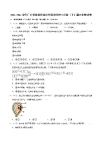2023-2024学年广东省深圳市盐田外国语学校七年级（下）期末生物试卷