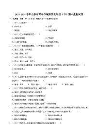 山东省青岛市城阳区2023-2024学年七年级下学期期末考试生物试卷