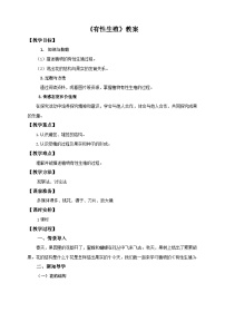 初中生物冀少版八年级下册第一节  被子植物的生殖一等奖教案