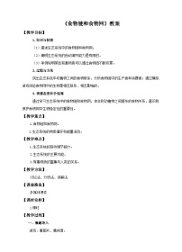 初中冀少版第二节 食物链和食物网精品教学设计