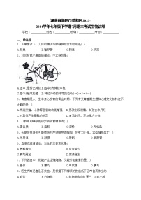 湖南省衡阳市蒸湘区2023-2024学年七年级下学期7月期末考试生物试卷(含答案)