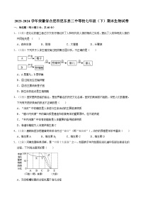 安徽省合肥市肥东县第三中学等校2023-2024学年七年级下学期期末考试生物试卷