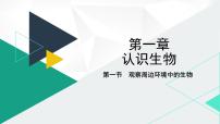 初中生物人教版（2024）七年级上册第一单元 生物和细胞第一章 认识生物第一节 观察周边环境中的生物课文课件ppt