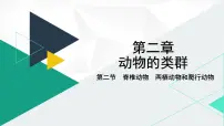 初中人教版（2024）二 两栖动物和爬行动物课文配套课件ppt