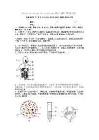 [生物][期末]湖北省黄石市大冶市2023-2024学年七年级下学期生物期末试卷