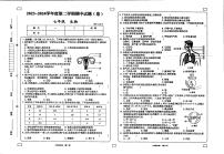 甘肃省庆阳市镇原县中原初级中学2023-2024学年七年级下学期期中考试生物试卷