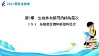 初中生物苏科版（2024）七年级上册第3单元 生物体的结构层次优秀ppt课件