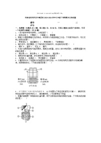 [生物][期末]河南省郑州市四中集团校2023-2024学年七年级下学期期末生物试题