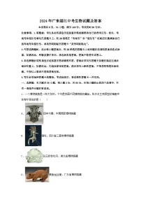 2024年广东湛江中考真题生物试题及答案