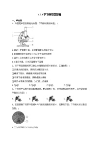 初中生物人教版（2024）七年级上册第一单元 生物和细胞第二章 认识细胞第一节 学习使用显微镜课时练习