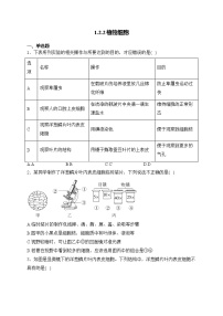 人教版（2024）七年级上册第二节 植物细胞同步练习题