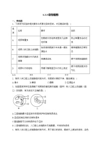 生物七年级上册第三节 动物细胞同步测试题