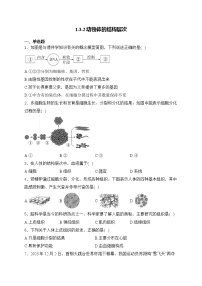 人教版（2024）第二节 动物体的结构层次精练